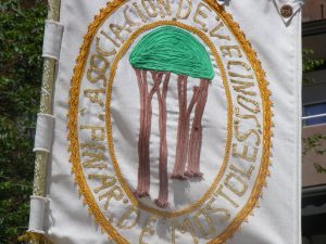 Asociación de Vecinos El Pinar